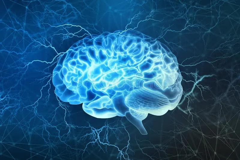 Parhaat vinkit kirjasta: Neuro Web Design: What makes them click?